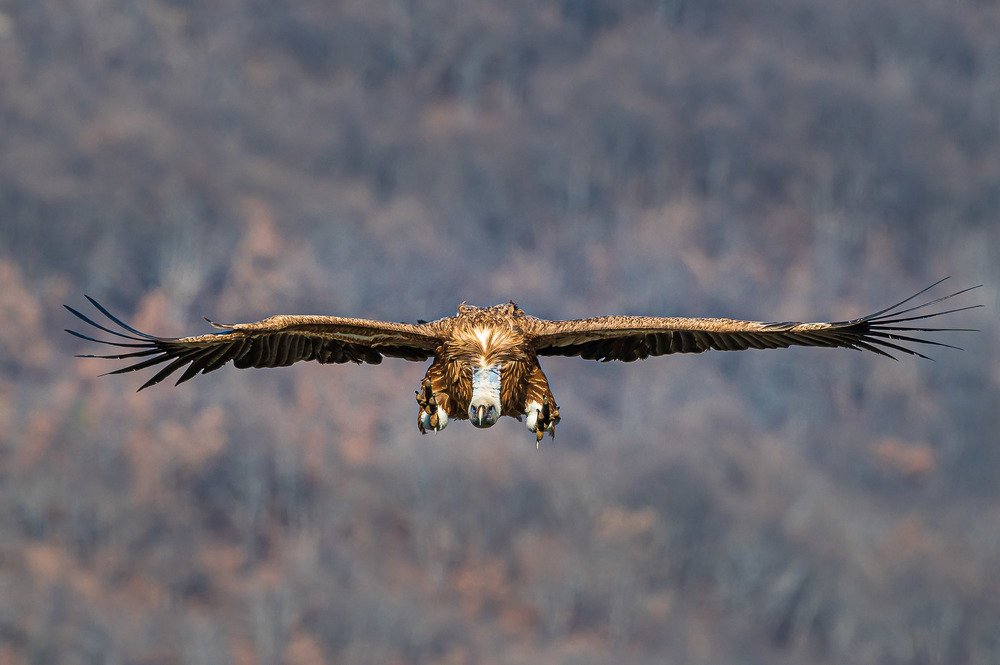 Photograph by Nikolay Hristov