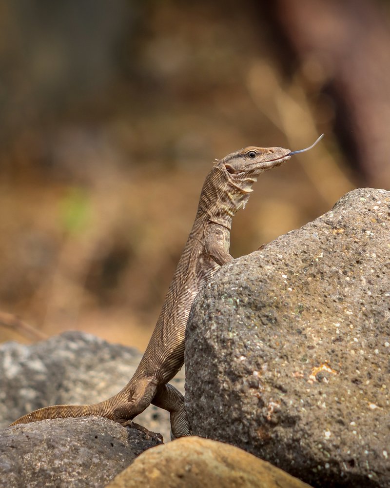 Photograph by Dhruv Prajapati