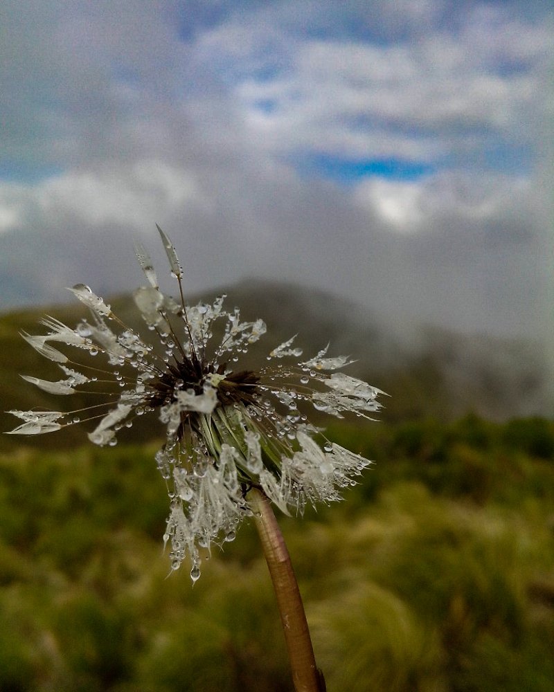 Photograph by CRISTIAN LEONARDO SABECKIS