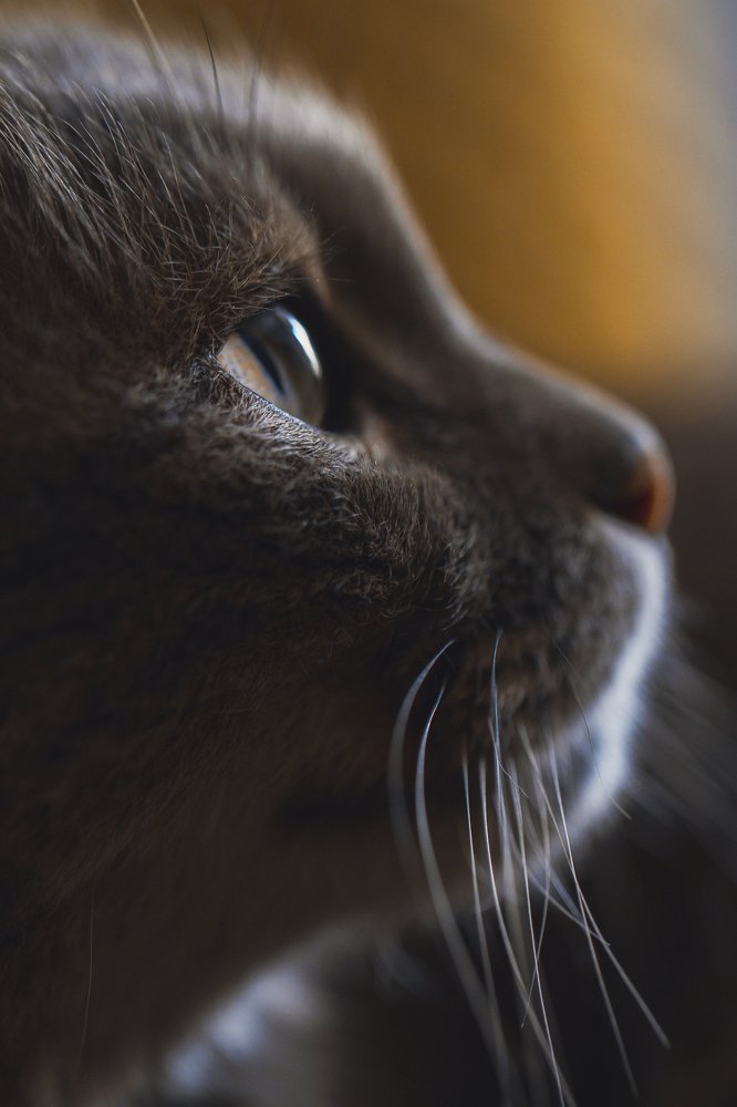 Photograph by Давид Григорьянц