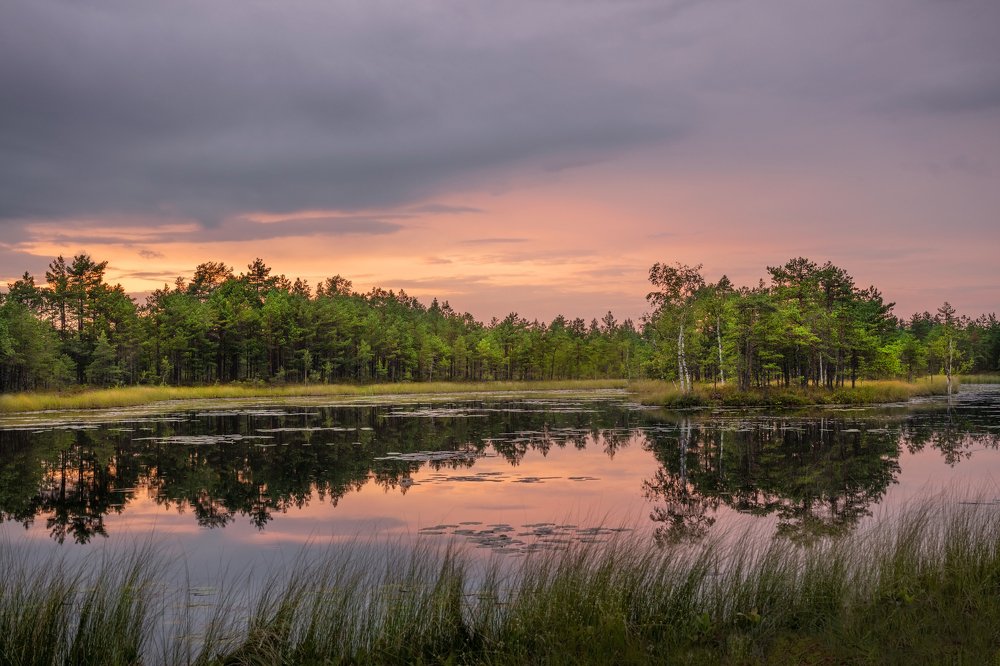 Photograph by Kati Raudsepp