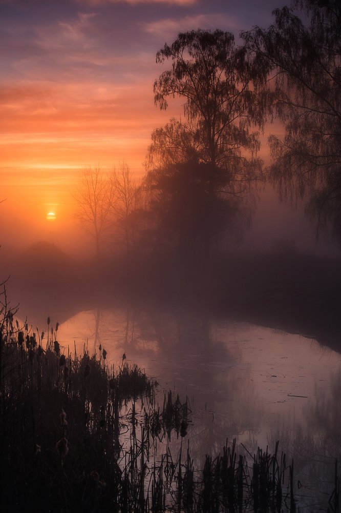 Photograph by Смоляк Максим Дмитриевич