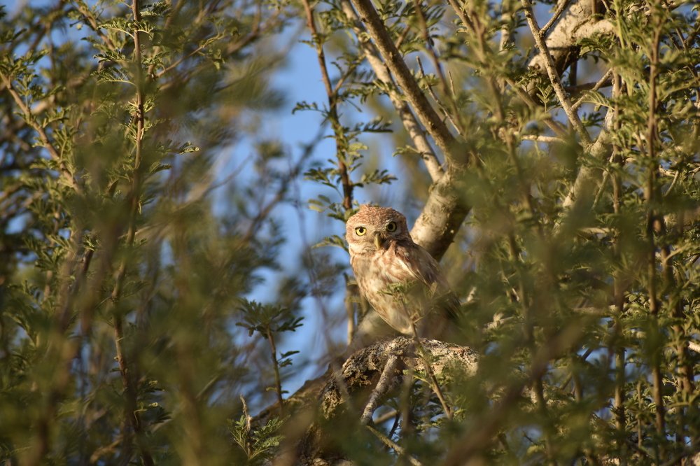 Photograph by Aleksandra Shchukina
