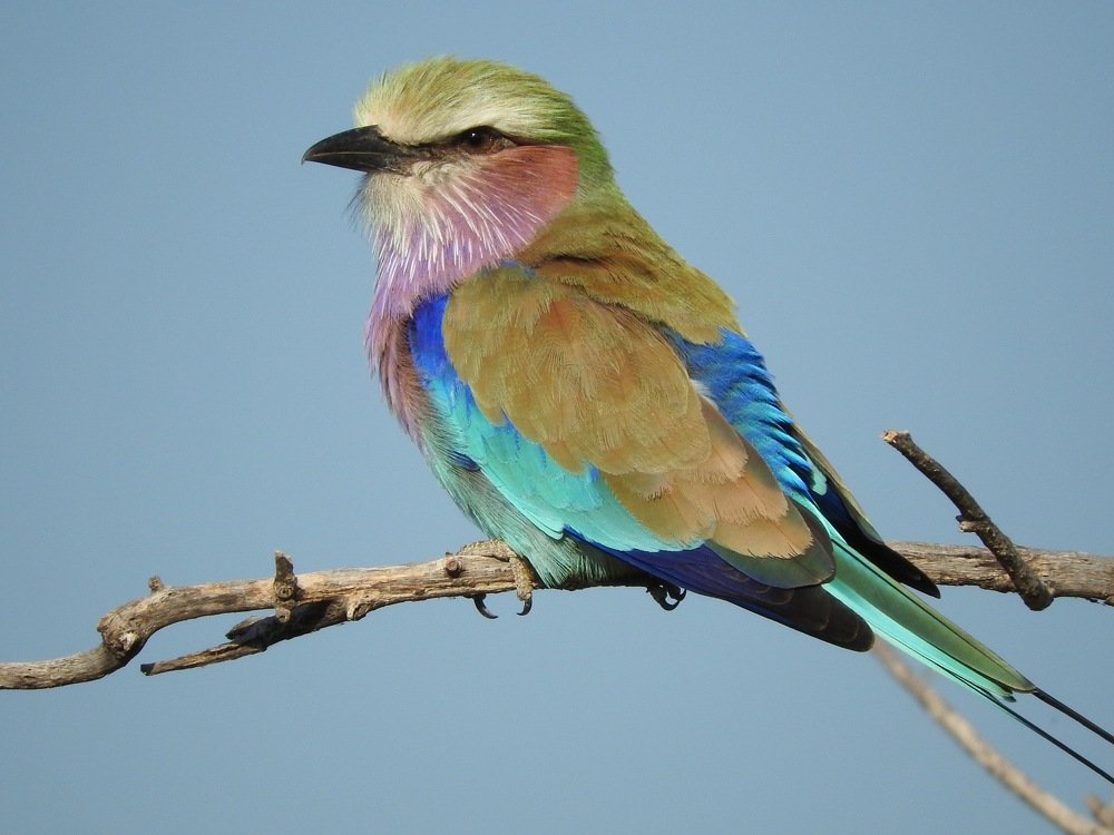 Photograph by Tonia Dragouni