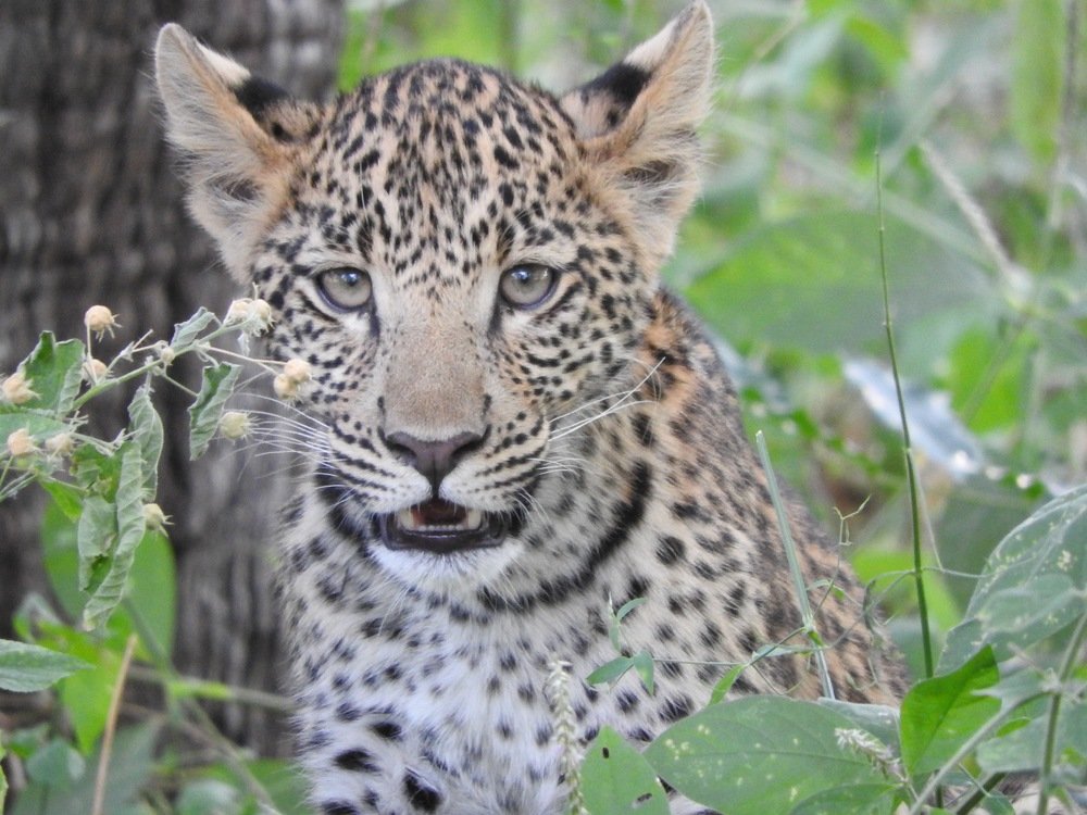 Photograph by Tonia Dragouni