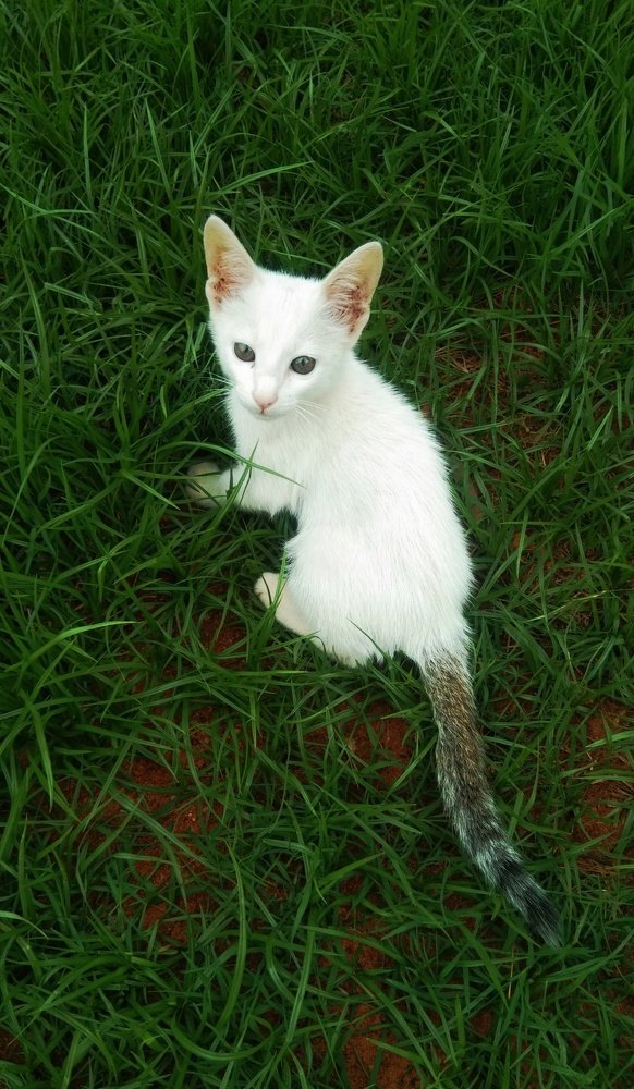 Photo #4737607