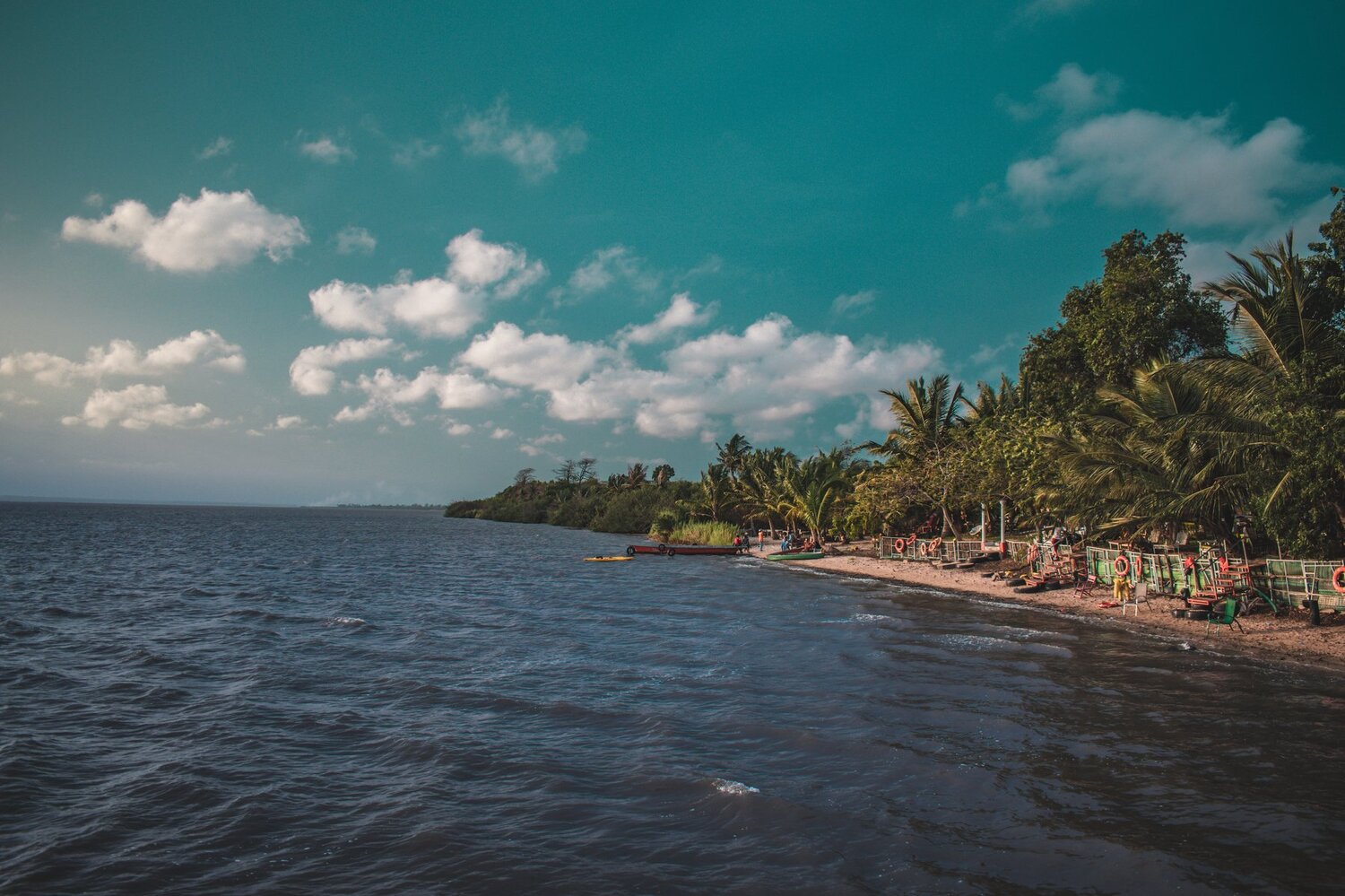 Photo #4737618