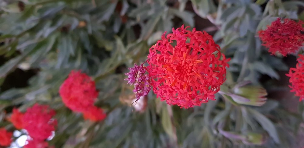 Photograph by Grant Hamilton