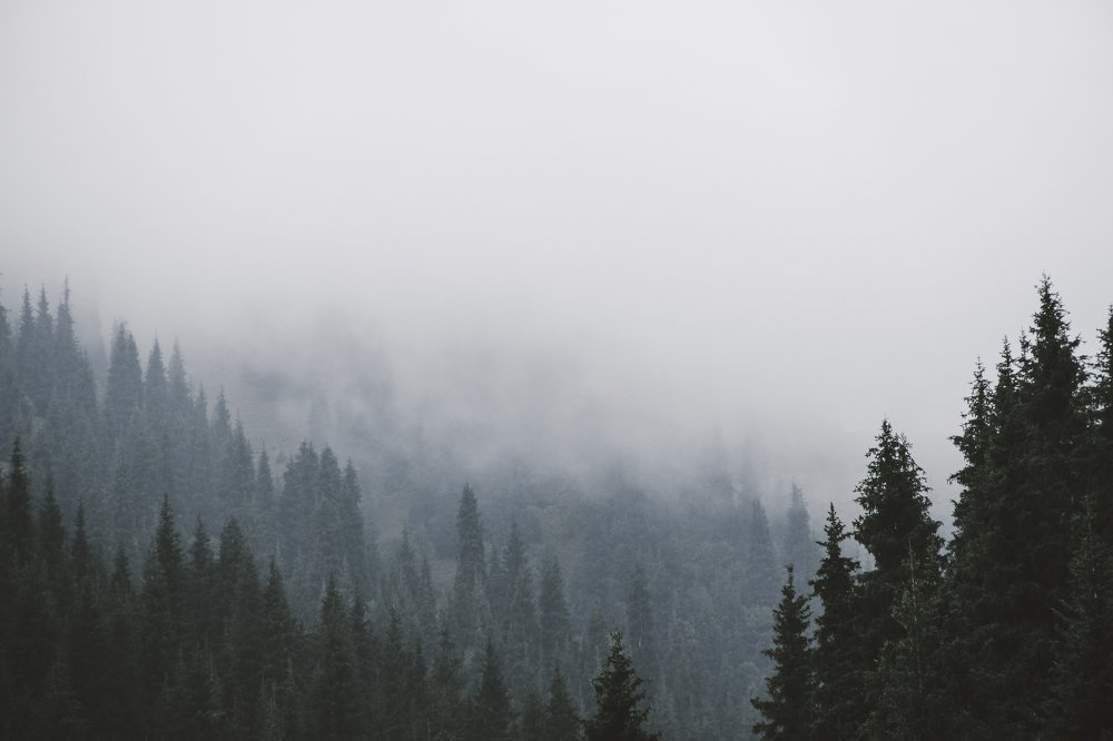 Photograph by Родионова Ксения