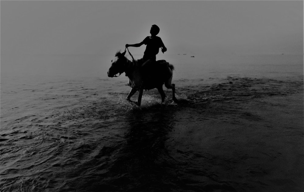 Фотография автора Shahed Zakir Opi