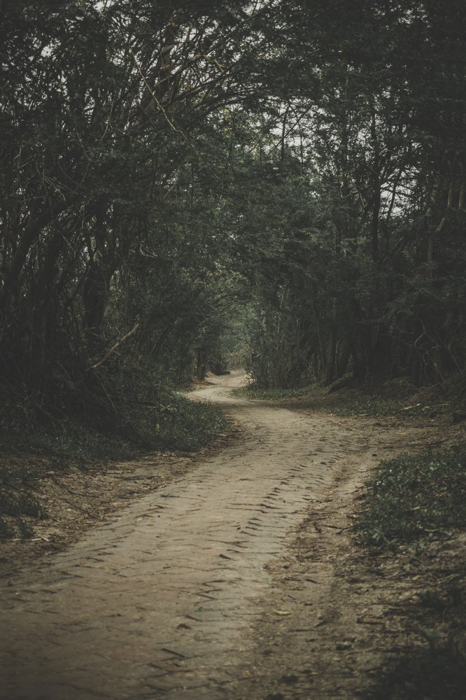 Photograph by Yukti Adhikary