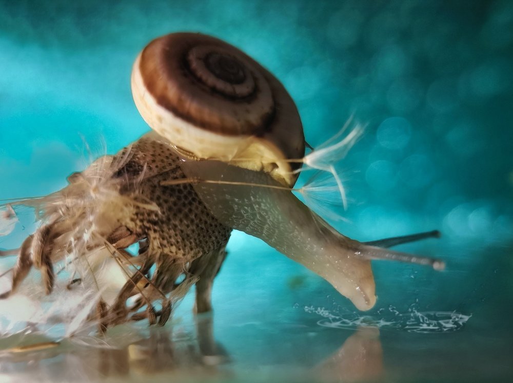 Изящность в макро