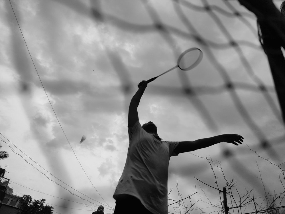 Photo #4737745