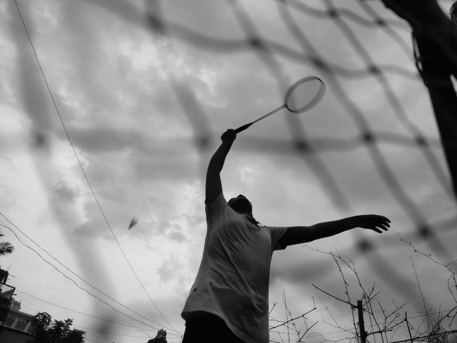 Photo #4737745