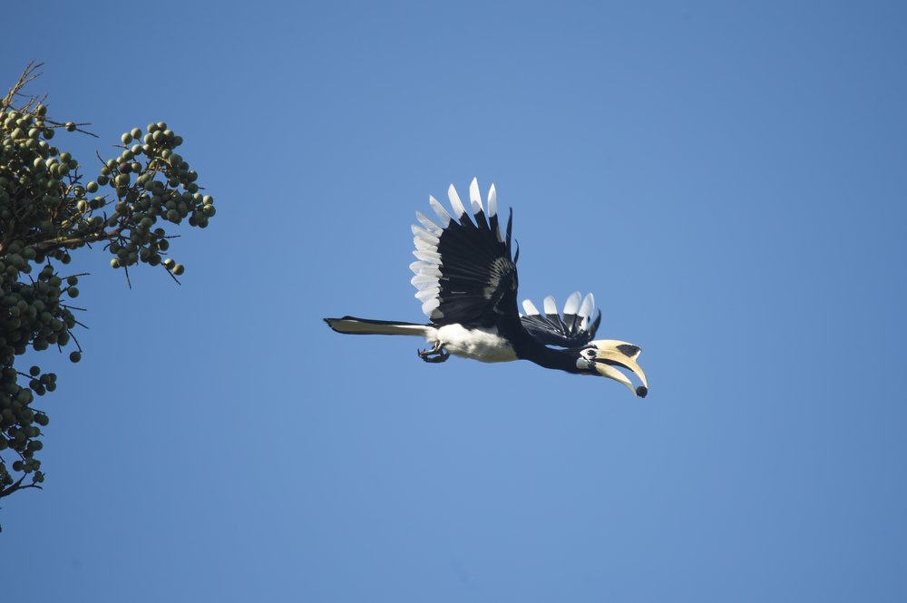 Photograph by dwi agung sulistyo