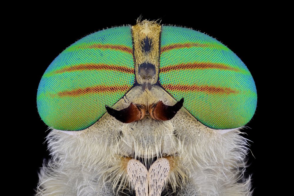 Photograph by Dobrin Ivanov