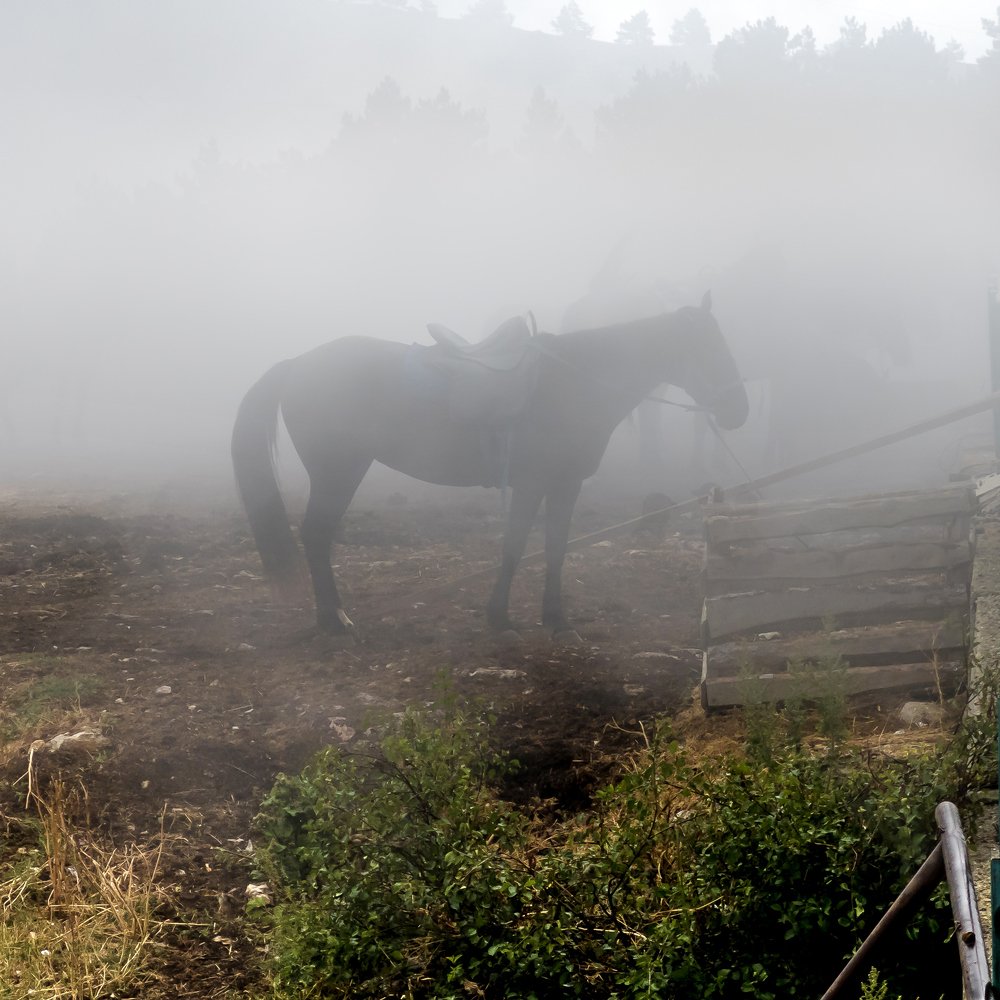 Photograph by Konstantin Krouz