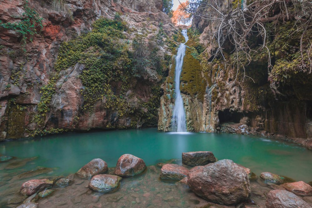 Photograph by Aissa Haffar