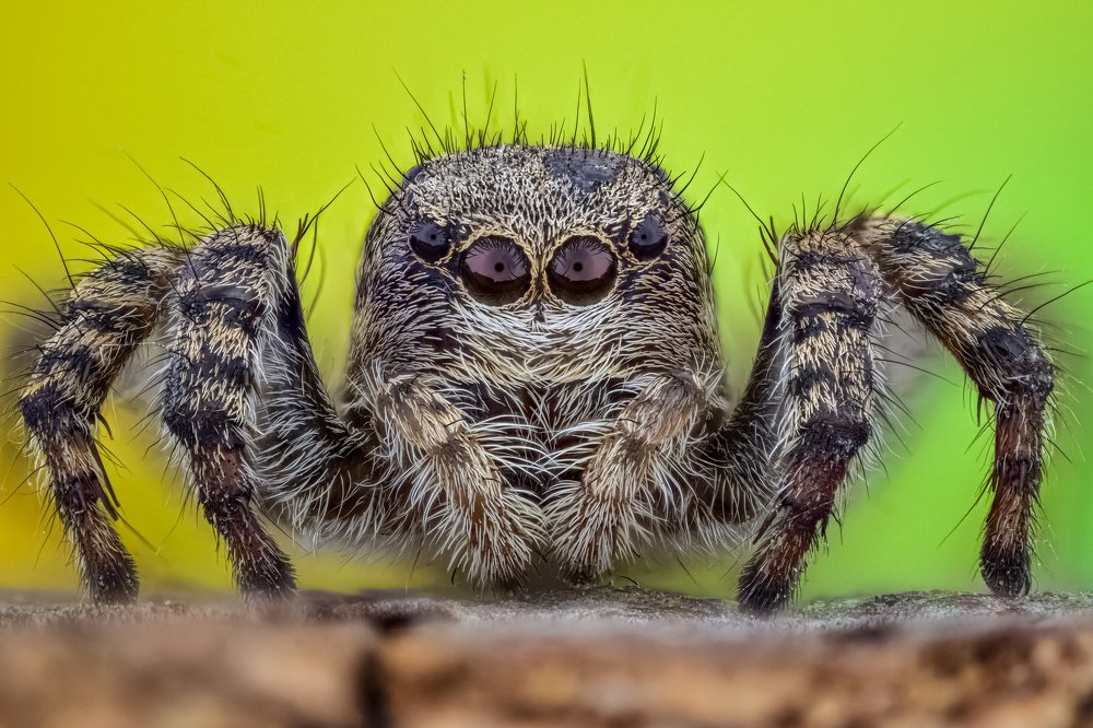 Photograph by Dobrin Ivanov