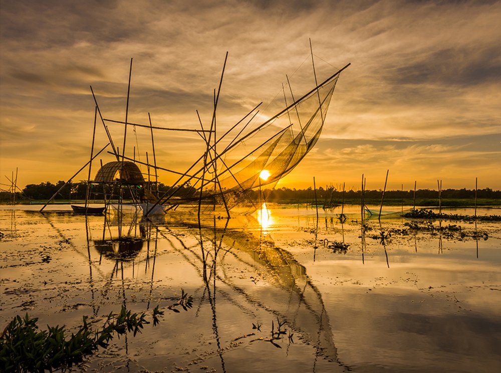 Photograph by Pinak Paul