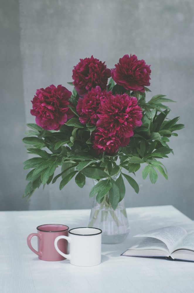 Фотография автора Oleksandr Shatyrov