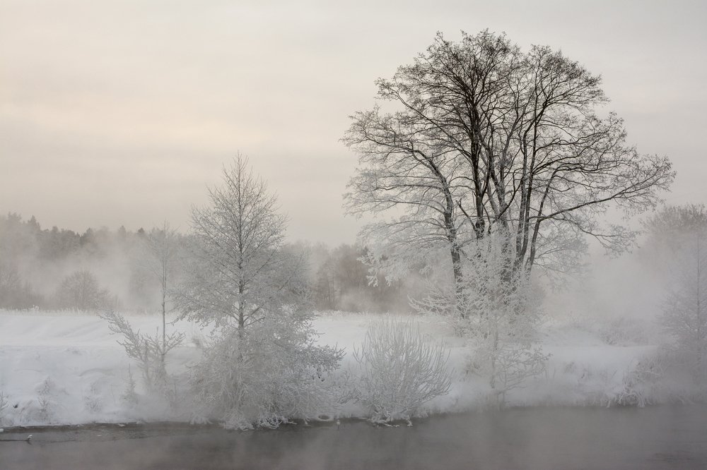Зимние кружева.