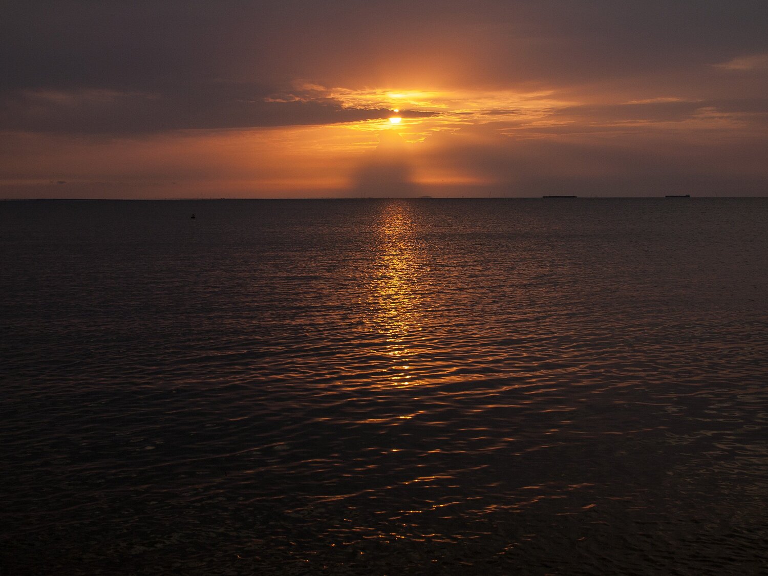Photo #4738008