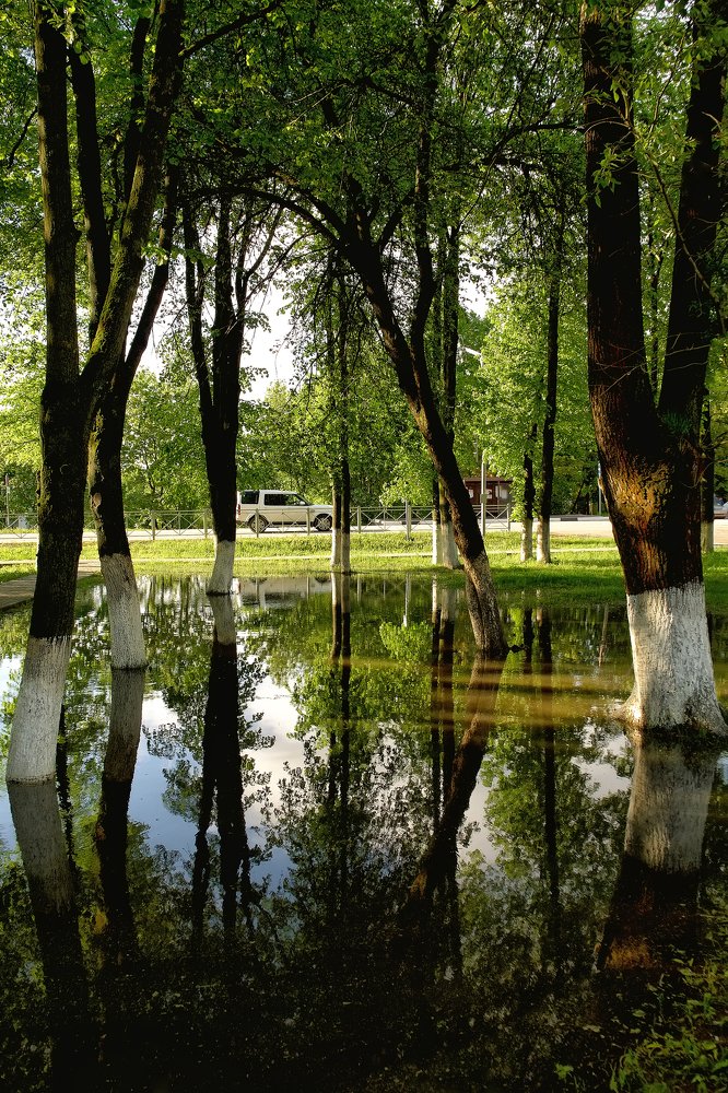 Photograph by Батранин Андрей