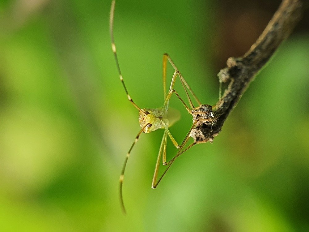 Photograph by HIMANSHU DHAMELIA
