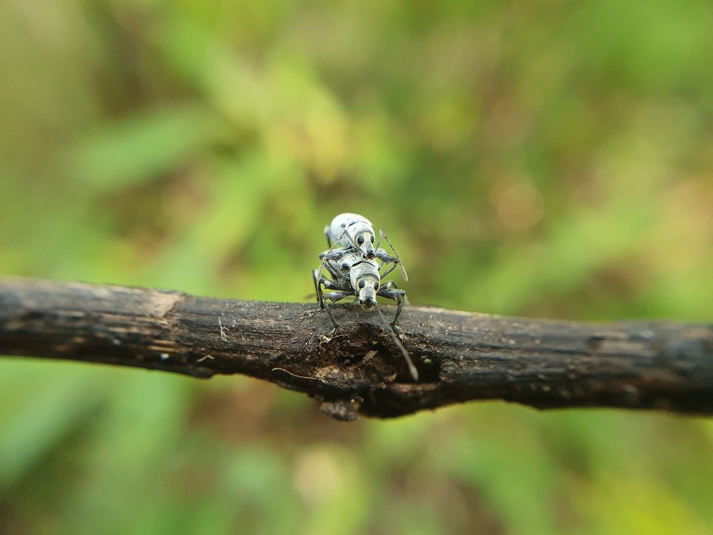 Photograph by HIMANSHU DHAMELIA