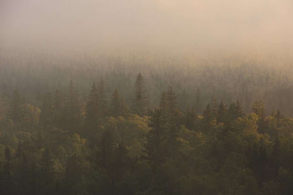 Photograph by Евгений Гецев