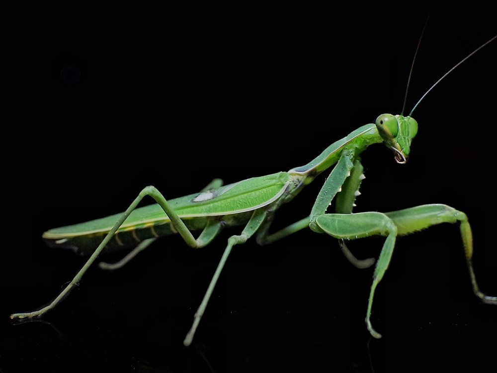 Фотография автора Rohit Maurya