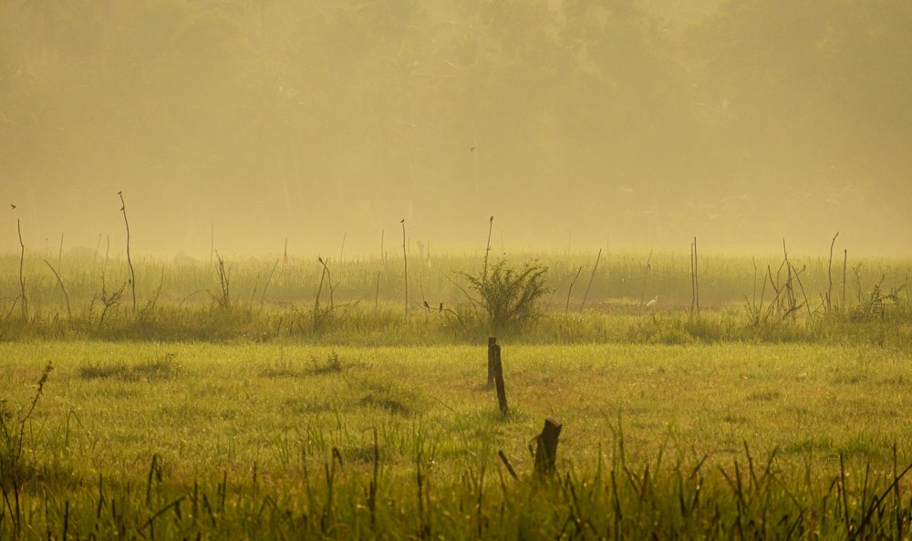 Photograph by Nath Sai