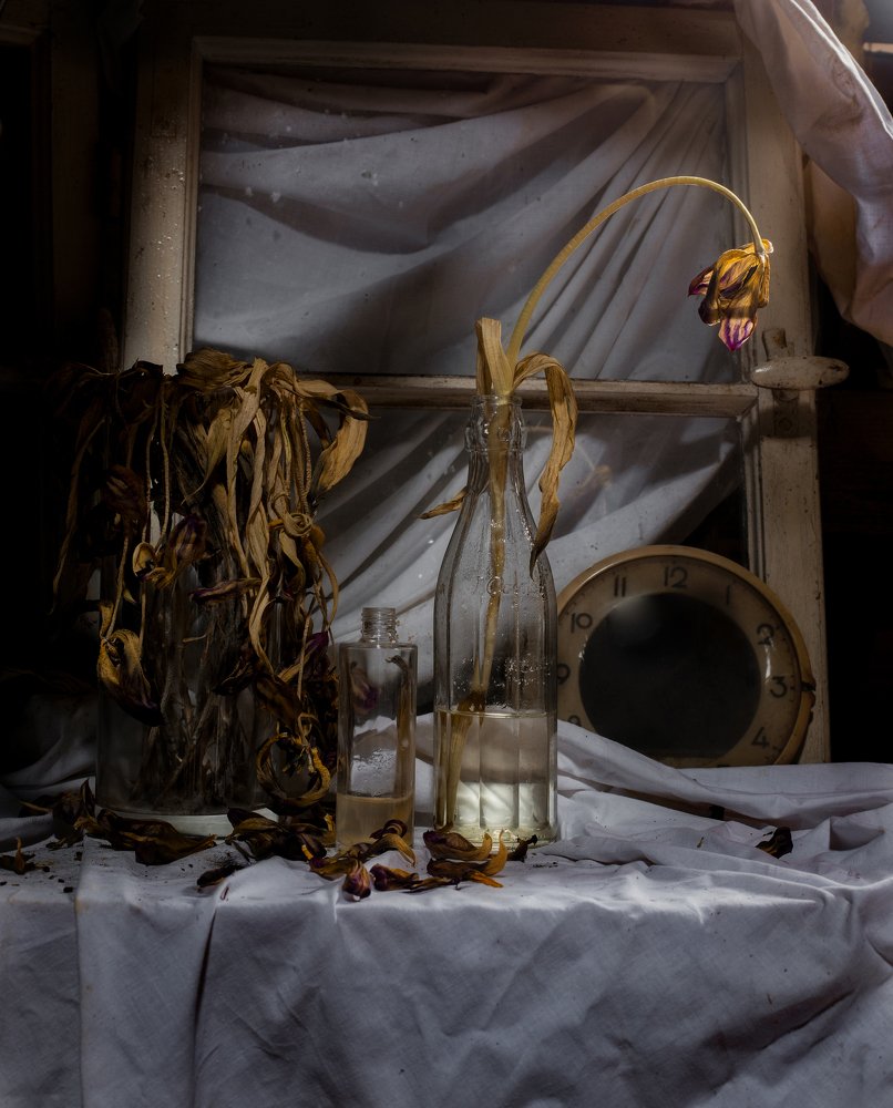 Photograph by Anastasia Strekalovski