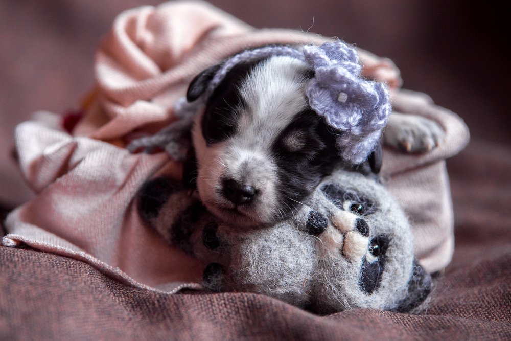 Photograph by Мария Луцук