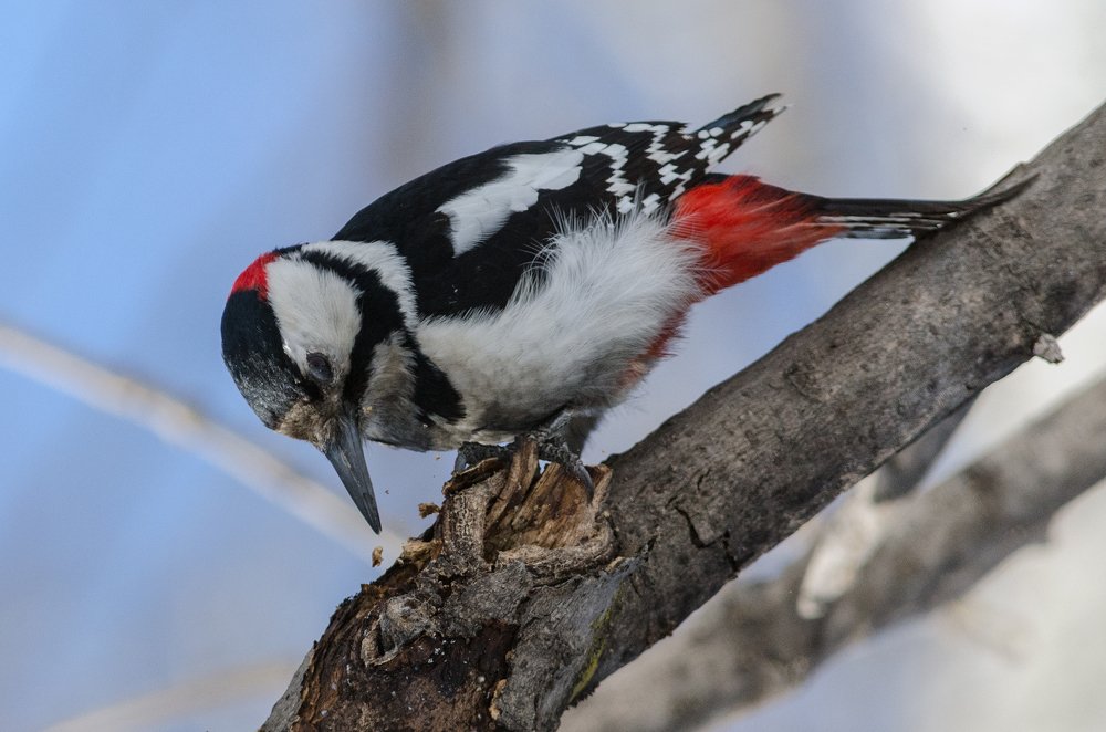 Photograph by Виктор Чернюк