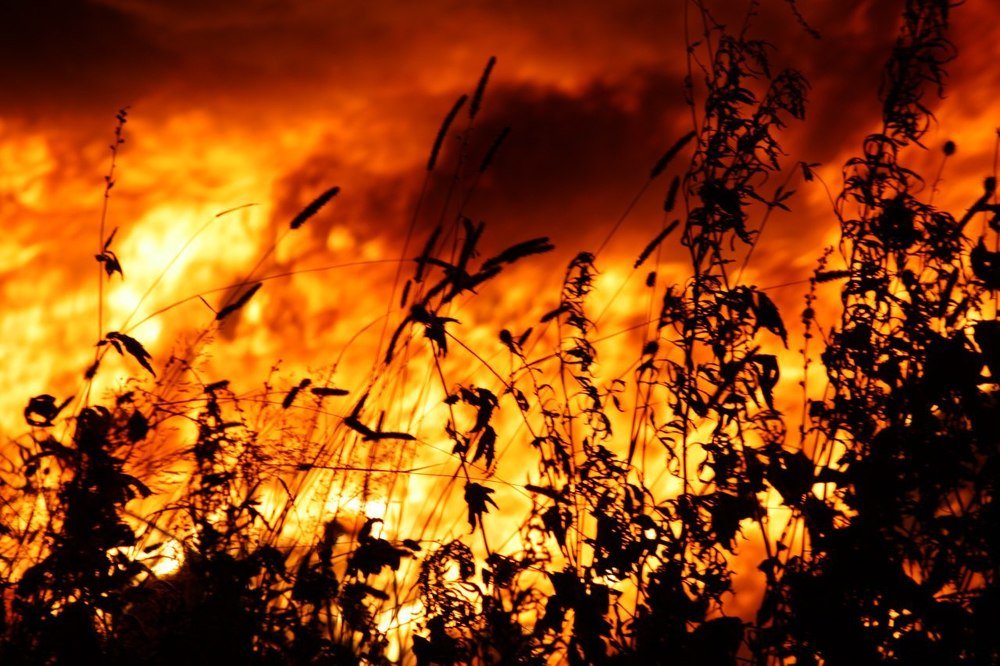 Фотография автора Mansoor Heydaryan