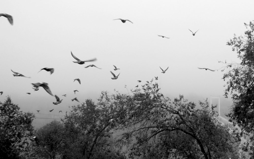 Photograph by Жанна Валиева