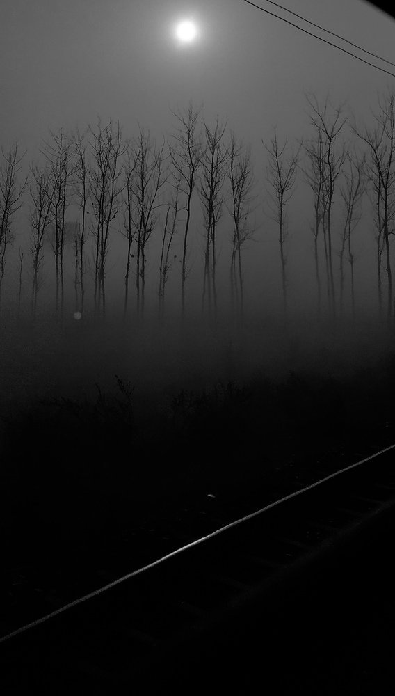 Photograph by Shireen Fatima