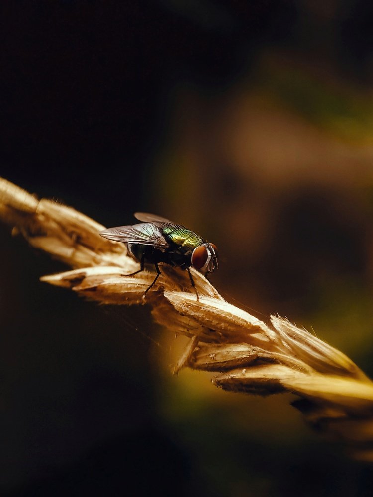 Photograph by Festus Ebikade