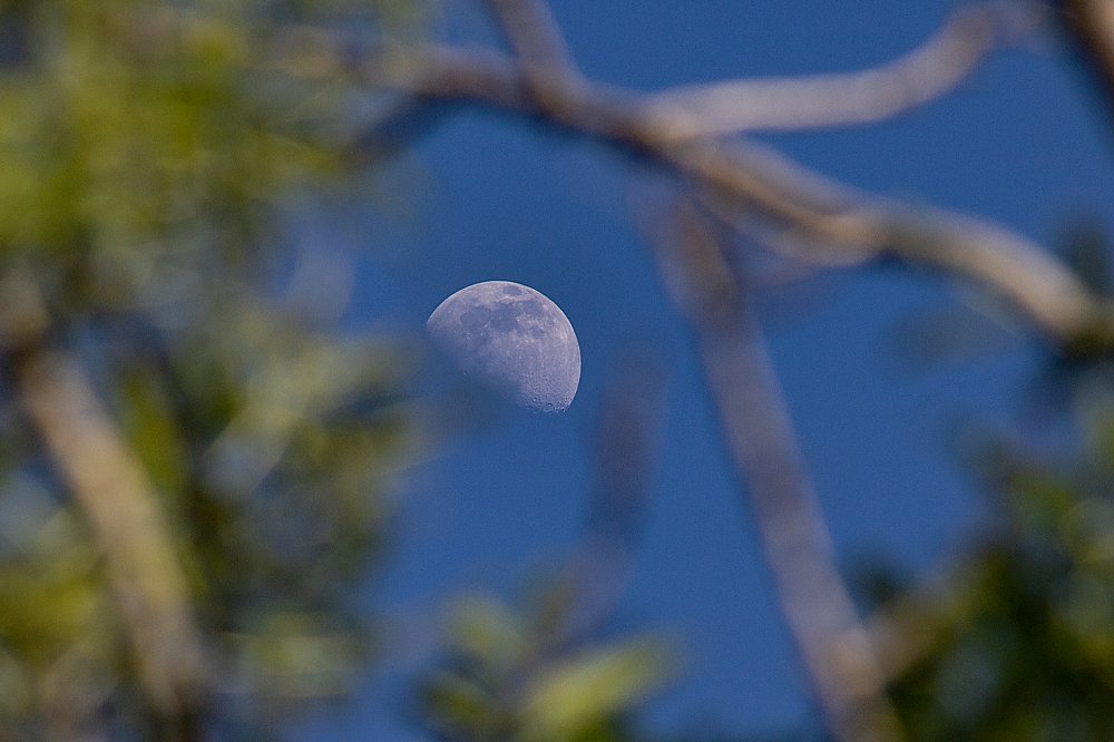 Photograph by Тигран Гукасян