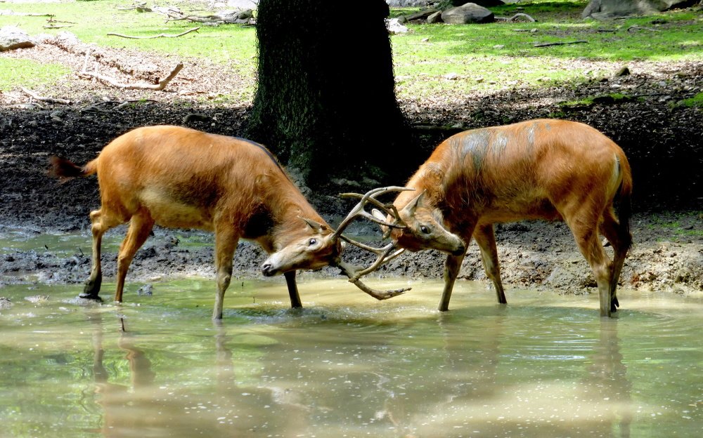 Photograph by Жанна Валиева