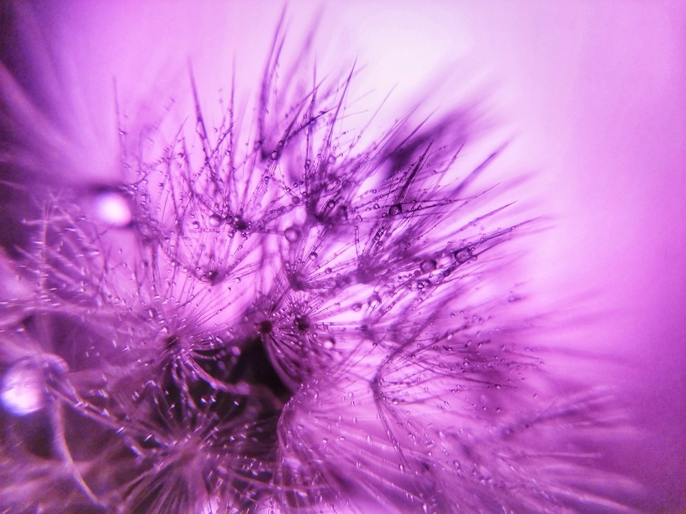 Photograph by Оксана Маракушина