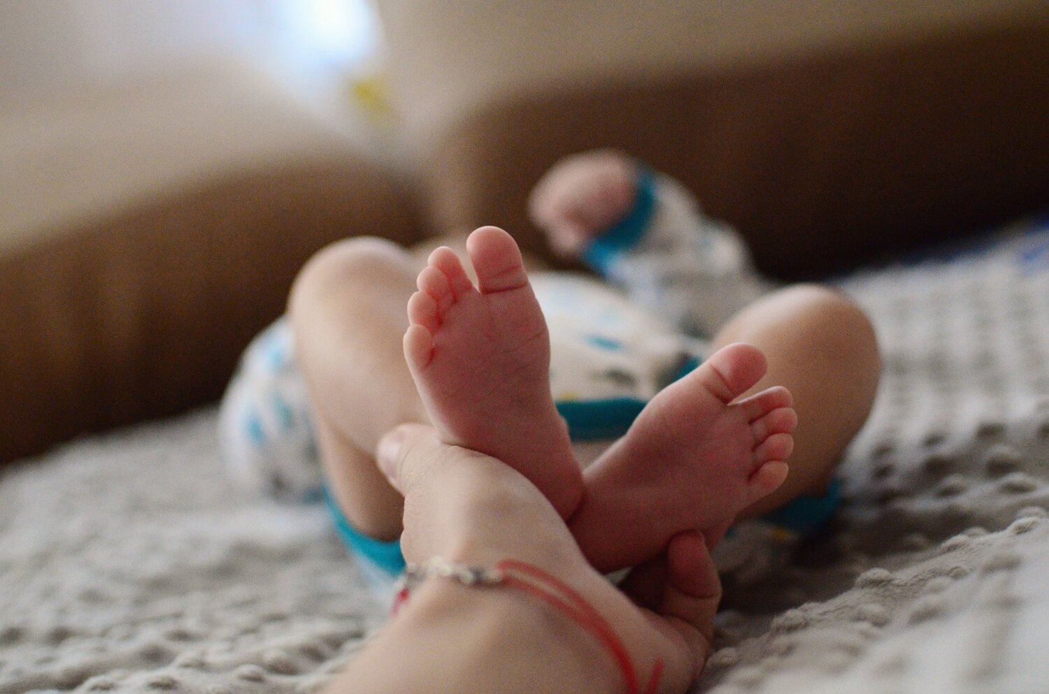 Photo #4738489