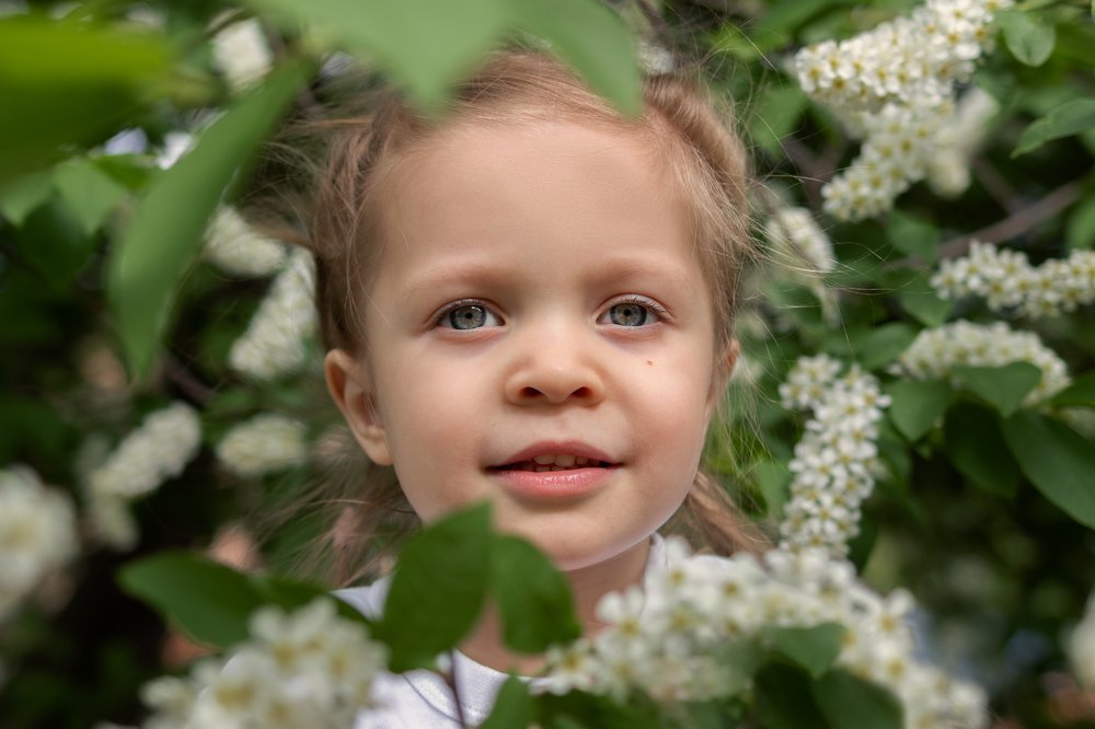 Фотография автора Аделя Пустовая