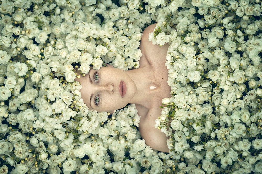 Photograph by Алёна Жаак