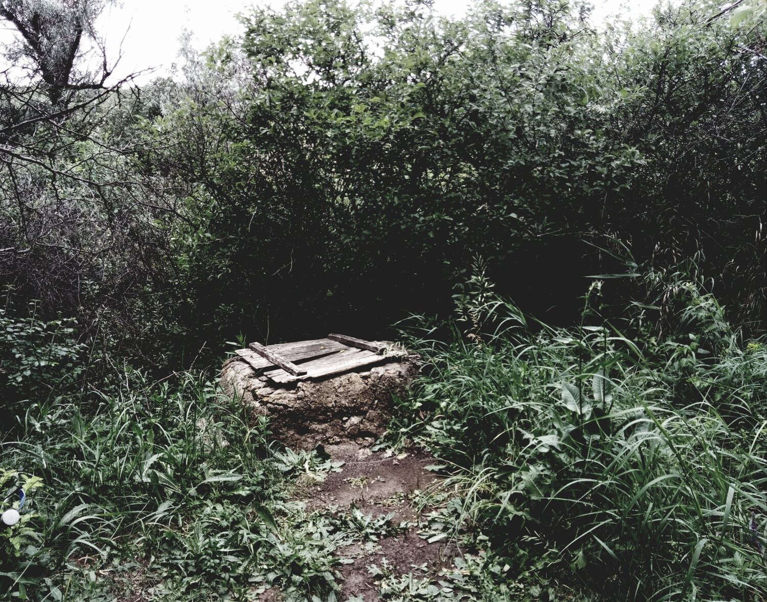 Photo #4738545