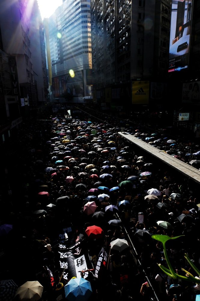 Light of Democration