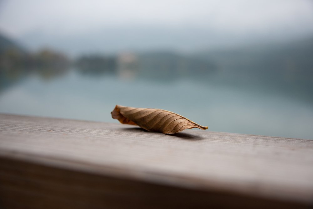 Photograph by Lucio Di Giovannantonio