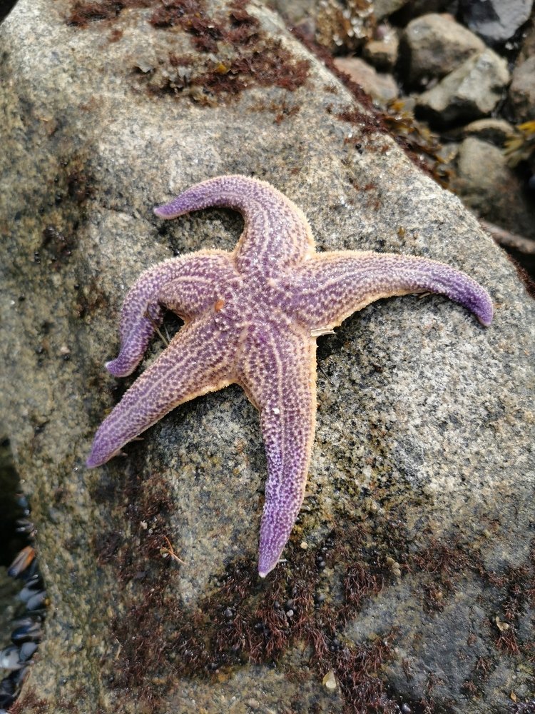 Photograph by Снежана Демидова